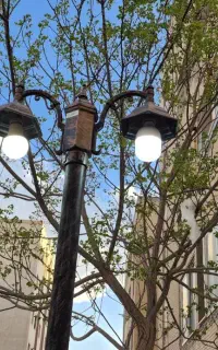 استخدام نگهبان بازنشسته