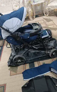 کالسکه مارک دلیجان