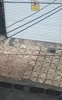 مغازه فروشی گرگانپارس،فروردین مرکزی