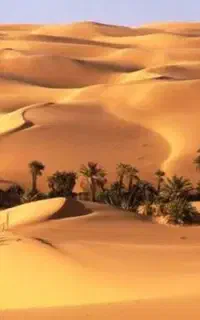 تور دو روزه کویر رضا آباد