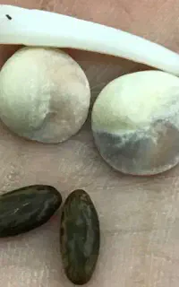 دعای جذب ثروت