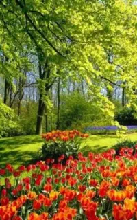 جویای کار