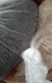 بذر دارویی
