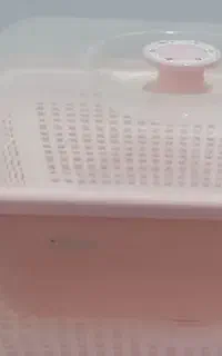 پلاستیک