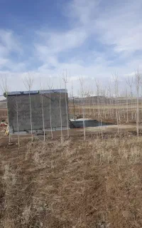 زمین ابی کشاورزی ۱هکتار دوزان