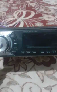 ضبط پایونر