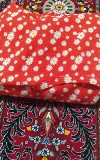 ساحلی