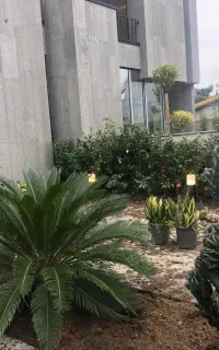خدمات باغی هرس... حیاط سازی