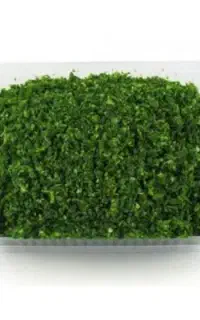 سبزی قورمه خوش عطر خانگی