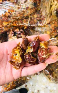 خرما ضایعات شیره دار و گوشتی