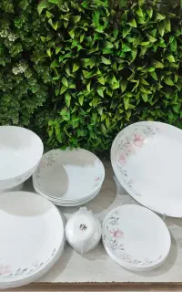 ارکوپال تک سرویس