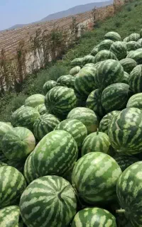 اردبیل جاده استارا