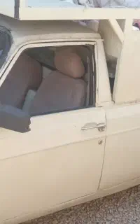 وانت تمام رنگ فروشی