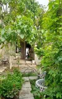 اجاره سوئیت کوتاه مدت و بلند مدت