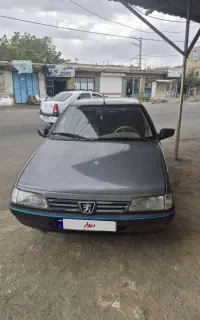 پژو 405 مدل 89 دوگانه بیرون