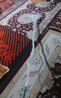 تورپرتابی