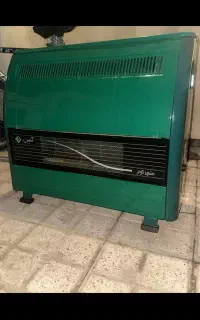 بخاری آدنیس