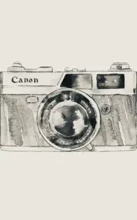 عکاسی پذیرفته میشود.