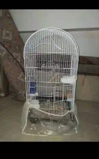 قفس کاسکو