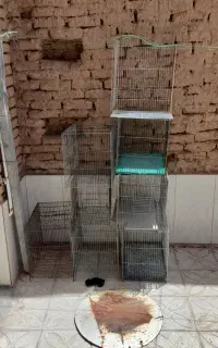 قفس پرنده