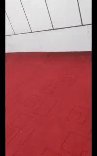 موکت نو 270