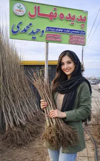 عمده نهال فروشی محمدی