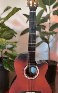 Diamond guitar