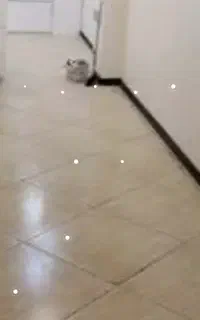 نظافت منزل