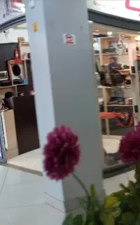 واگذاری ۱۰ متر مغازه در بازار سنتی پاساژ آپادانا