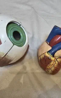 مولاژ چشم و قلب