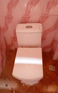 توالت فرنگی