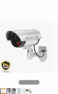 دزد گیر و دوربین