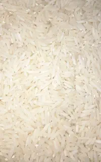 برنج دانه بسیار خوش عطر و بو امساله