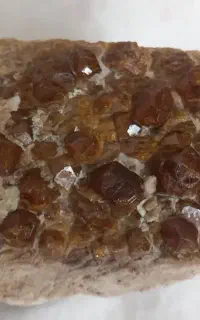 گارنت