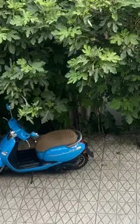 موتور وسپا دایچی ۱۵۰
