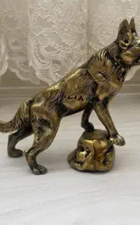 گرگ برنزی