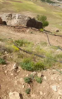 نیرو کار جهت کار در باغ‌