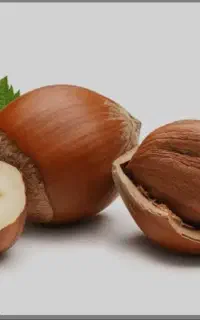 فندق درجه یک اشکورات