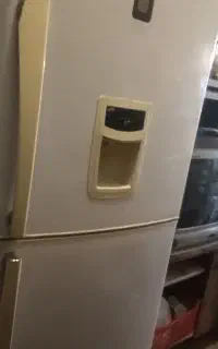 یخچال فریزر دودر
