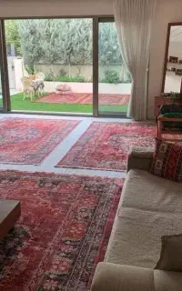 نیروی خانم