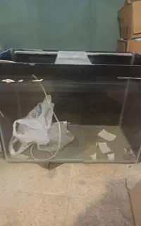 اکواریوم