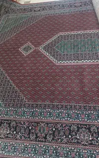 یک جفت ۳در۴ ماهی گل ابرشم