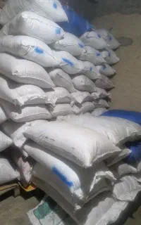 بذر گندم رقم تکتاز