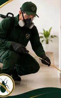 سمپاشی تضمینی و تخصصی ساس سوسک موش مگس و غیره