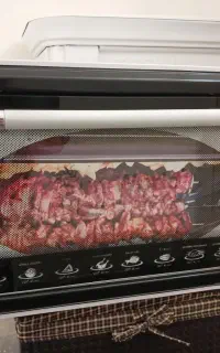 توستر