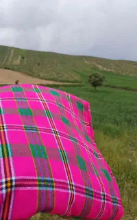 حوله مخمل