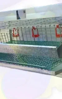 قفس بلدرچین