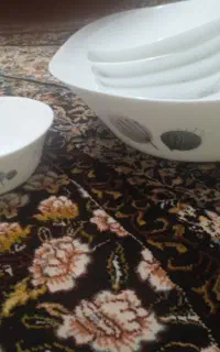 ارکوپال