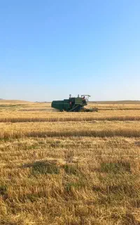 کمباین دوعدد یکی مدل ۶۴ ویکی ۸۵ شروع به کار ۸۶