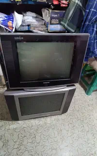 تلویزیون